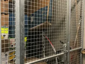 Pronájem bytu 1+kk, Praha - Radotín, Karlická, 30 m2