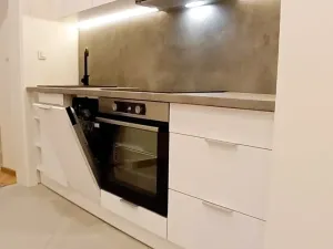 Pronájem bytu 2+1, Praha - Vinohrady, Kolínská, 60 m2