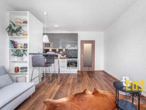 Pronájem bytu 1+kk, Praha - Hostivař, Rižská, 35 m2