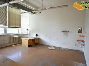 Pronájem skladu, Ostrava, Výškovická, 1362 m2