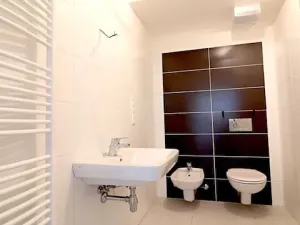 Pronájem bytu 1+kk, Brno, Kociánka, 45 m2