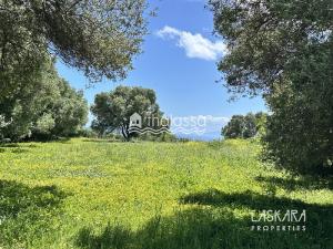 Prodej komerčního pozemku, Kefalonia, Leivathos, Řecko, 20000 m2