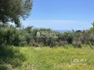 Prodej komerčního pozemku, Kefalonia, Leivathos, Řecko, 20000 m2