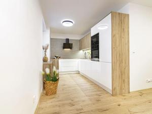 Pronájem bytu 2+kk, Ostrava, Svazácká, 53 m2