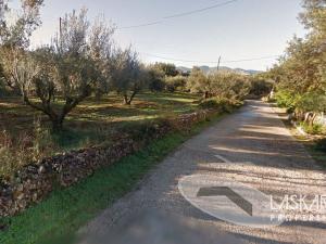Prodej pozemku, Ostrov Kefalonia, Erissos, Asos, Řecko, 5000 m2
