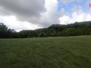 Prodej louky, Jenčice, 12373 m2