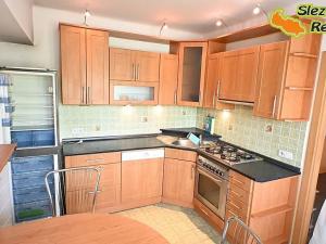 Pronájem bytu 1+1, Ostrava, Sokolská třída, 40 m2