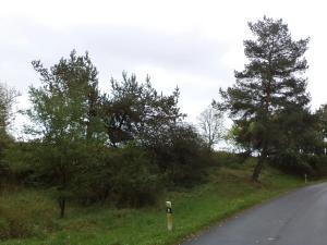Dražba louky, Písečné, 3639 m2