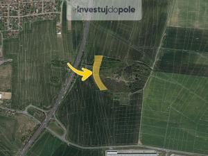 Prodej louky, Brodce, 10491 m2