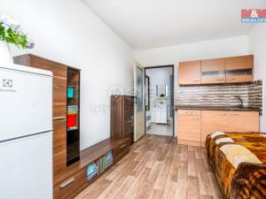 Prodej bytu 4+1, Brandýs nad Labem-Stará Boleslav - Brandýs nad Labem, Na vinici, 84 m2