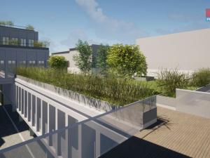 Prodej obchodního prostoru, Opava - Město, Masarykova třída, 100 m2