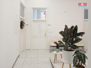 Prodej obchodního prostoru, Opava - Město, Masarykova třída, 80 m2