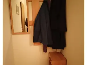 Pronájem bytu 1+kk, Holubice, U Parku, 45 m2