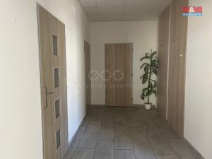 Pronájem obchodního prostoru, Jablonec nad Nisou, Riegrova, 20 m2