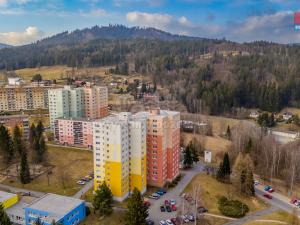 Prodej bytu 1+1, Tanvald, U Školky, 27 m2