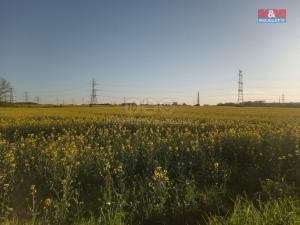Prodej pole, Praha - Šeberov, 2421 m2