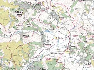 Prodej louky, Brumovice, 12205 m2