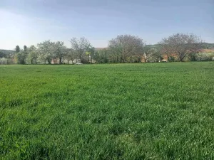 Prodej pozemku pro bydlení, Tvarožná, 750 m2