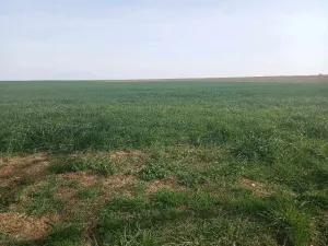Prodej pozemku pro bydlení, Tvarožná, 750 m2