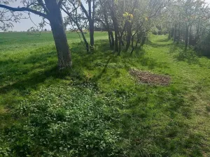 Prodej pozemku pro bydlení, Tvarožná, 750 m2