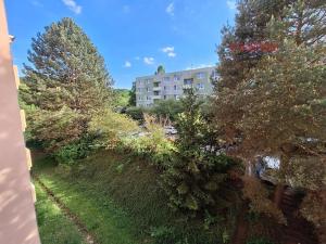 Pronájem bytu 1+1, Brno, Vondrákova, 33 m2