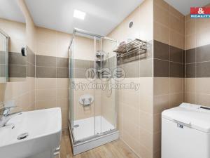 Pronájem bytu 2+1, Ústí nad Labem - Neštěmice, Hluboká, 60 m2