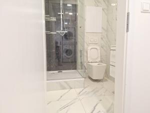 Pronájem bytu 1+kk, Ostrava - Moravská Ostrava, Vojanova, 25 m2