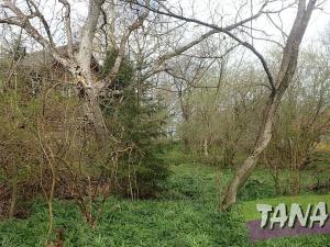 Prodej zemědělské usedlosti, Kobyly, 550 m2