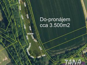 Prodej zemědělské usedlosti, Kobyly, 550 m2