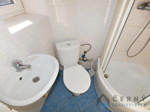 Pronájem bytu 1+1, Liberec, Americká, 29 m2