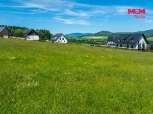 Prodej pozemku pro bydlení, Červená Voda, 1251 m2