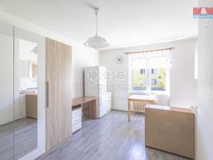 Pronájem bytu 1+kk, Zákupy, Družstevní, 22 m2