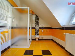 Prodej rodinného domu, Hlučín - Darkovičky, Jandova, 231 m2