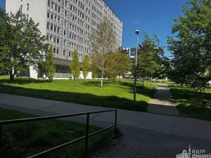 Pronájem kanceláře, Praha - Karlín, Molákova, 29 m2