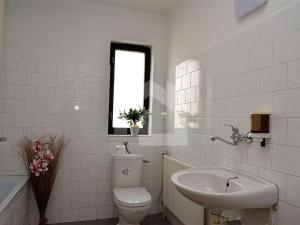 Pronájem bytu 3+kk, České Budějovice - České Budějovice 3, U Trojice, 120 m2