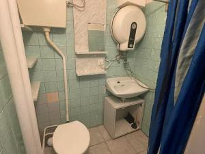 Pronájem bytu 1+kk, Ostrava, Závišova, 15 m2