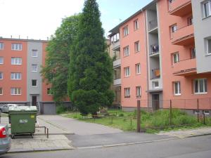 Pronájem bytu 1+kk, Ostrava, Závišova, 15 m2
