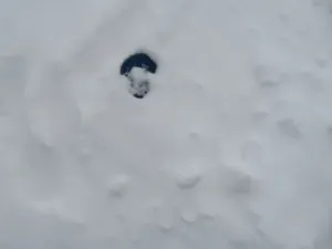 Dražba obchodního prostoru, Strážný, 10 m2