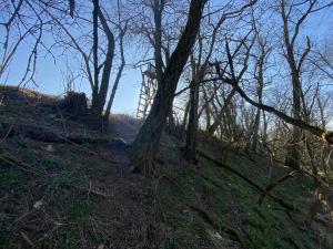 Prodej lesa, Břežany, 146 m2