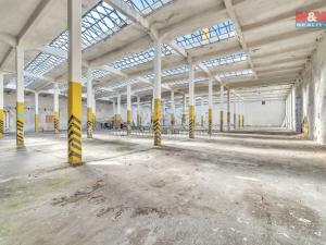 Prodej skladu, Červená Voda, 1500 m2