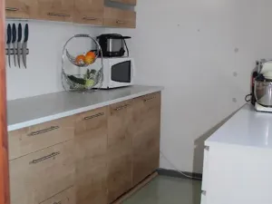 Prodej chalupy, Brandov, Lesní, 270 m2