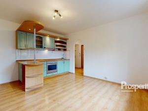 Pronájem bytu 1+1, Teplice, Moskevské náměstí, 29 m2