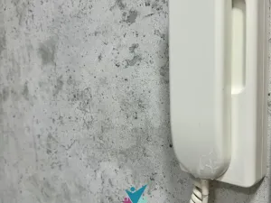 Prodej bytu 2+1, Teplice, Alejní, 54 m2