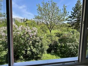 Pronájem bytu 2+kk, Hradec Králové, Durychova, 47 m2