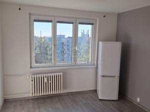 Pronájem bytu 1+kk, Aš, Dlouhá, 35 m2