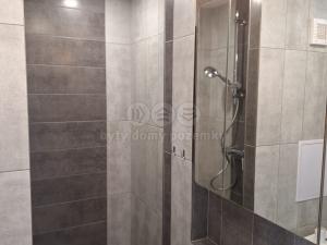 Pronájem bytu 1+kk, Aš, Dlouhá, 35 m2