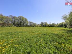 Prodej louky, Horní Bříza, U Kapličky, 4590 m2