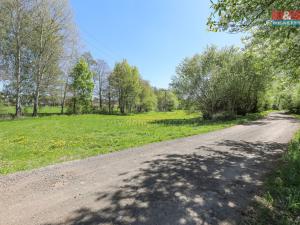 Prodej louky, Horní Bříza, U Kapličky, 4590 m2