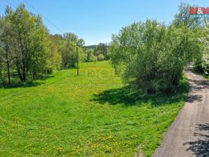 Prodej louky, Horní Bříza, U Kapličky, 4590 m2