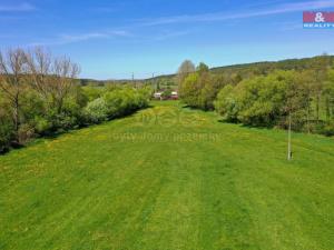 Prodej louky, Horní Bříza, U Kapličky, 4590 m2